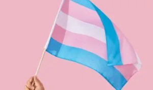Bandeira visibilidade trans uma mão segurando a bandeira da visibilidade trans