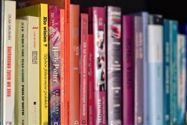 Livros enfileirados. Foto: Visual Hunt