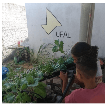 Amitis (Time Enactus UFAL - Alagoas)