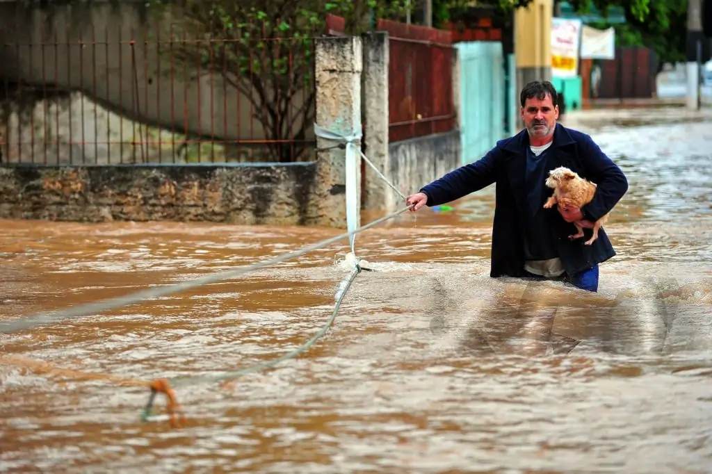 Fotografia de uma pessoa e um cachorro em uma enchente. Texto sobre enchentes no Brasil.