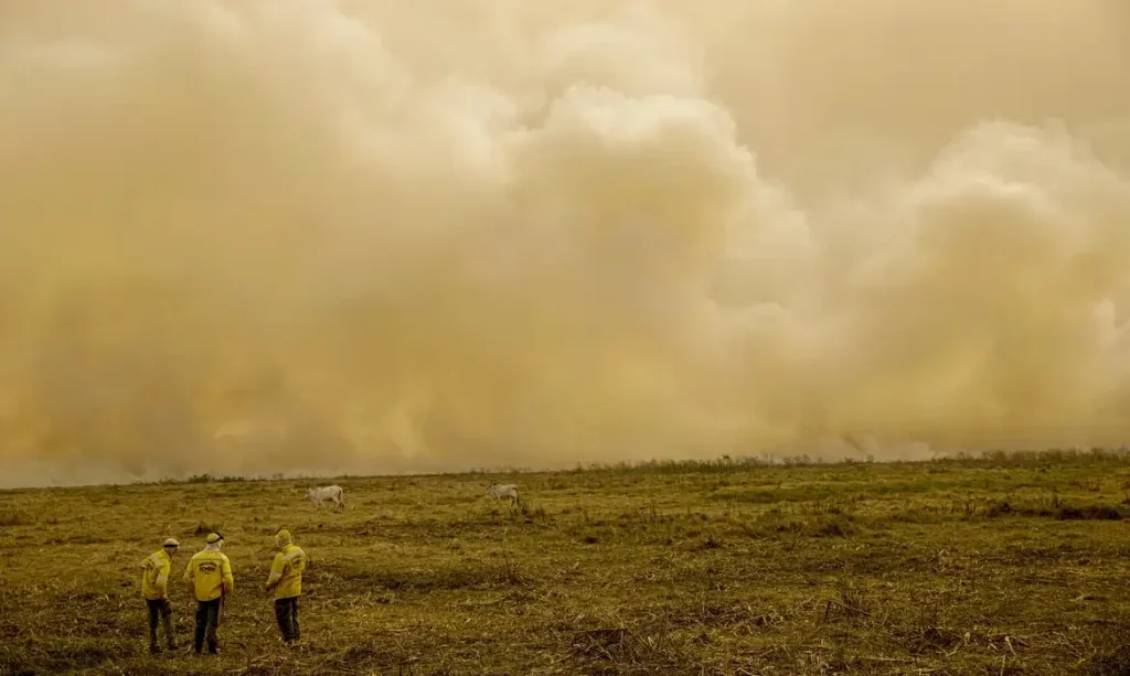 Imagem do bioma Pantanal coberto por fumaça de queimadas, com 3 pessoas posicionados no canto da imagem e alguns animais pastando.
