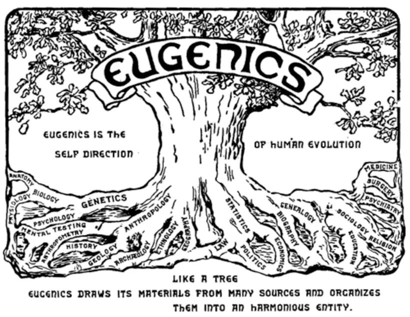 Imagem de uma árvore, escrito "eugenia" na imagem. Texto: O que é Darwinismo Social?