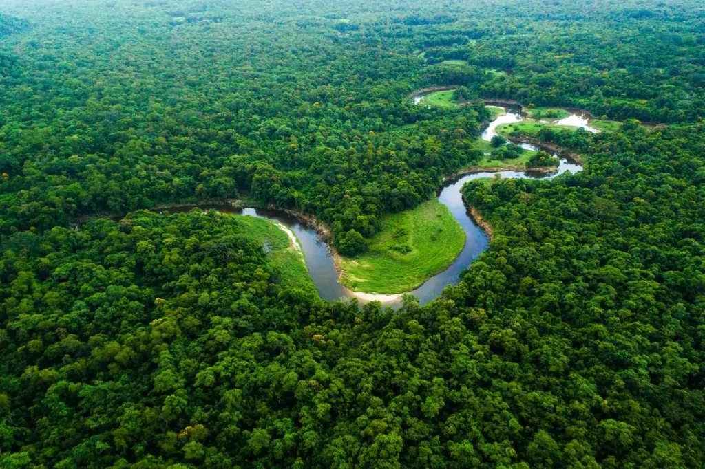 Foto da Floresta Amazônica, rio e a floresta. Texto: O desmatamento e a preservação da Amazônia colombiana
