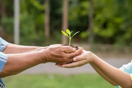 A foto mostra as mãos de uma pessoa idosa por cima das mãos de uma criança, juntas ao centro, segurando um broto de planta com terra. O fundo está borrado e apresenta uma paisagem verde composta por árvores e grama.