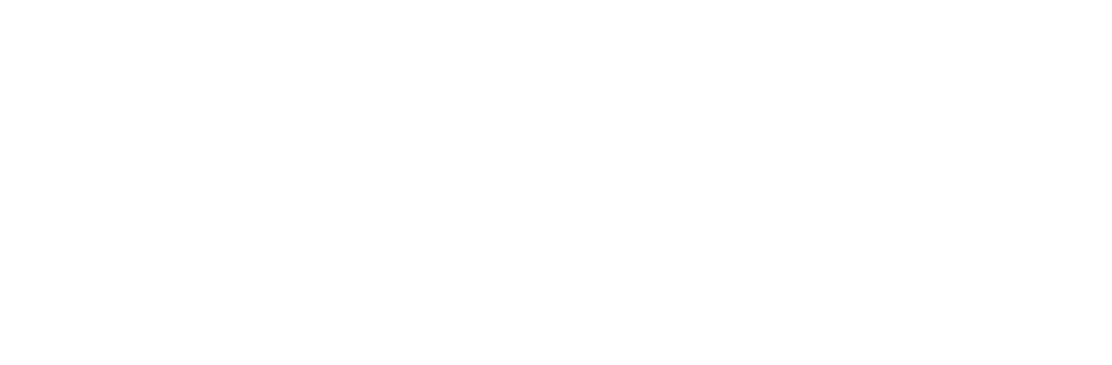 LOGO-RORAIMA.png