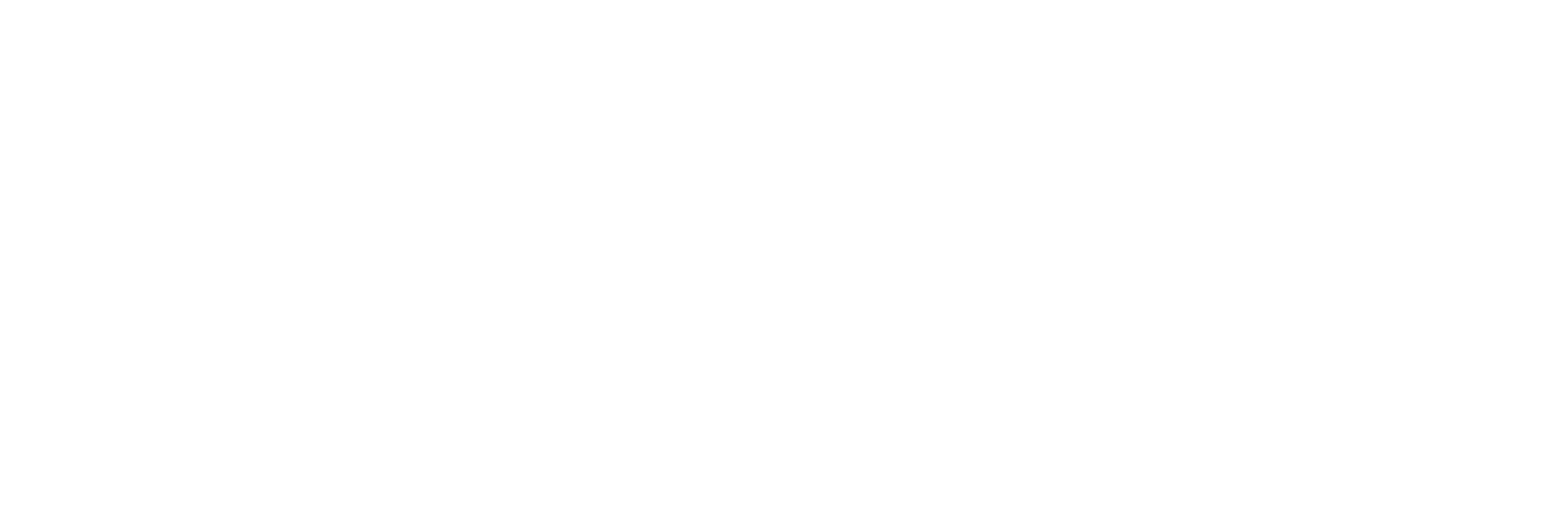Logo-Leon-branca.png