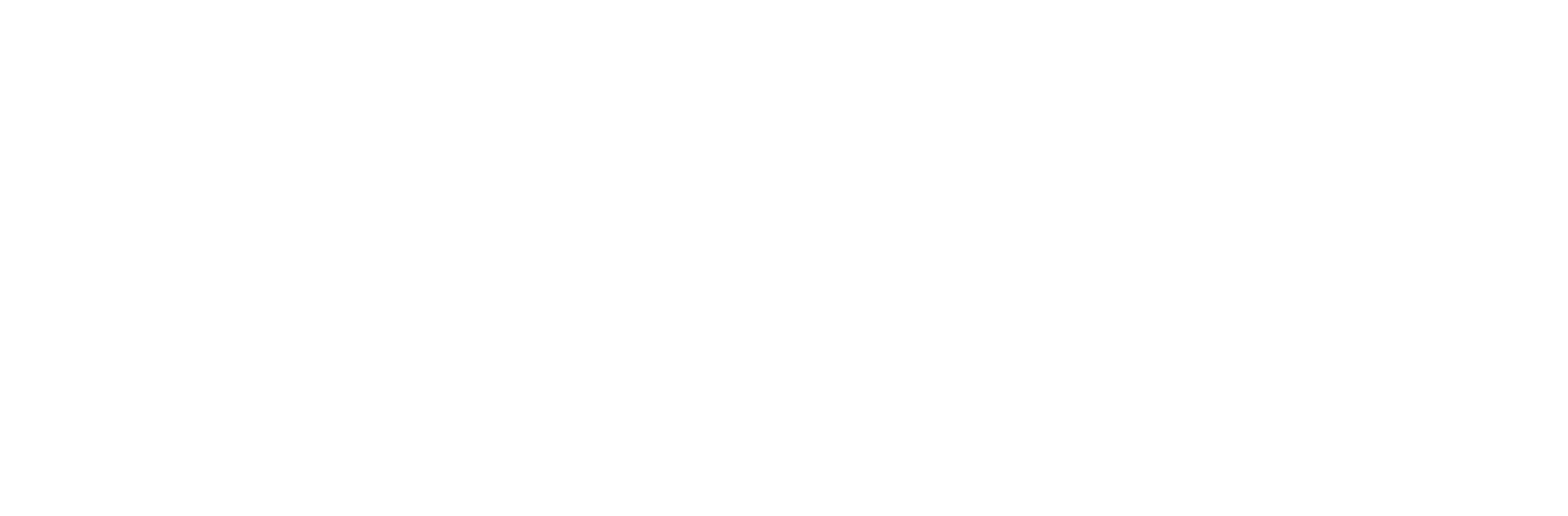 logo-sem-fundo